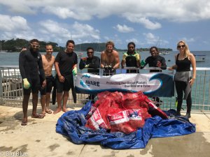 Dive Agaist Debris Big Blue Sept 2017-7