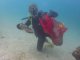 Dive Against Debris