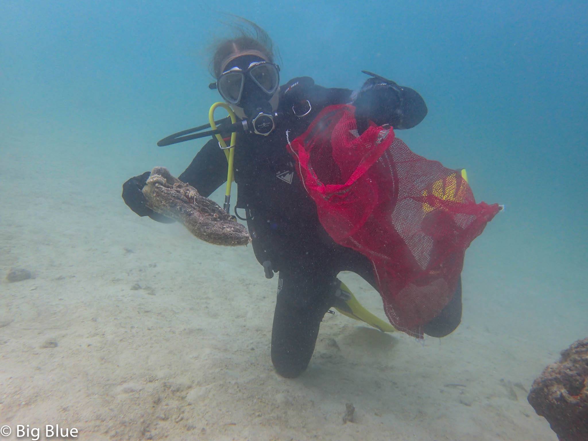 Dive Against Debris
