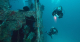 Divers diving on a wreck with Big Blue Vanuatu on a morning double dive