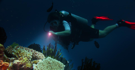 Diver diving on a reef with Big Blue Vanuatu on a night dive