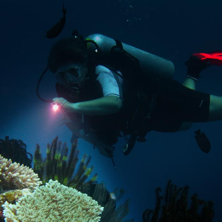 Diver diving on a reef with Big Blue Vanuatu on a night dive