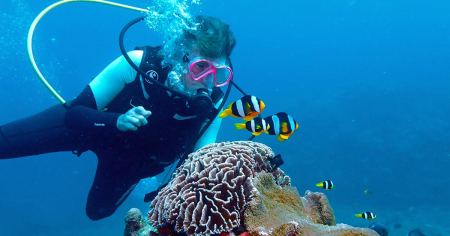 Diver playing with Diver playing with clown fish while diving on a reef with Big Blue Vanuatu on a single day dive