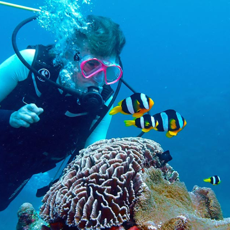 Diver playing with Diver playing with clown fish while diving on a reef with Big Blue Vanuatu on a single day dive